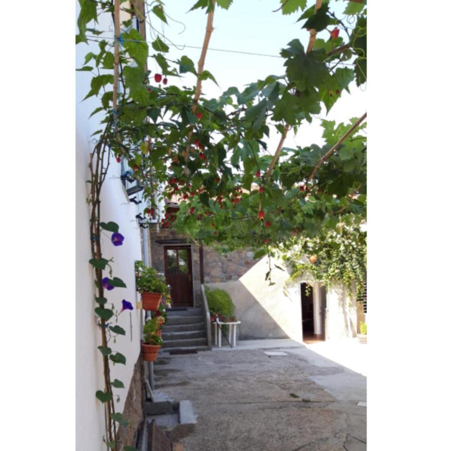 Casa "O Campo" Guest House Sober ภายนอก รูปภาพ